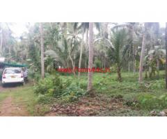 3.5 acre Agriculture Land for sale near Kuttiady - Pathiripatta - Kozhikode