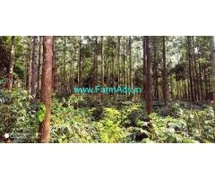 8 Acres Coffee Estate for sale in Chikmagalur