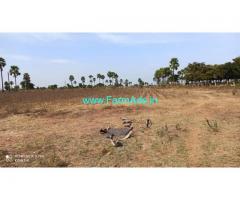 Half  Acre agriculture land for sale in Phailwanpur village