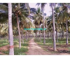 62 Acres Coconut Farm Sale At Thirumoorthi Malai
