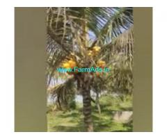 4 Acre 20 Guntas Agriculture Land  For Sale In Solur