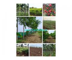 10 Acres Agriculture Land For Sale In Hiriyur near Gayathri Dam