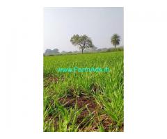 5 Acre's Farm Land for sale near Zaheerabad