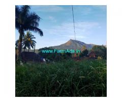 6000 Sq ft Land for sale in Chikmagalur