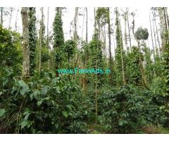 2 acre well maintained Arabica and pepper plantation sale in Chikmagalur