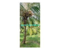 Coconut Grove 13.5 acres for sale at Vastupadi