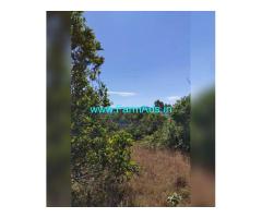 11 Acres hilltop property for sale in Coorg