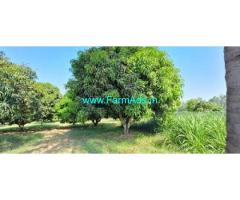 1 Acre Mango Farm For Sale Near Kolar Chintamani Road