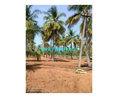 100 acre coconut farm Land for Sale near Udumalpet