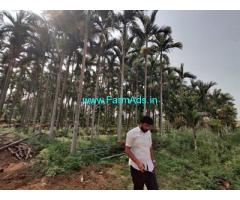 1 acre 20 gunta areca nut plantation for sale Hatna, Bangalore Hassan NH75,