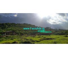 94 Acre cashew plantation for sale at Konkan