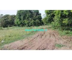 12.74 Acres Punjai Farm Land for Sale on Thellaar