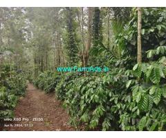 6.5 acre Robusta and Arabica plantation sale in Balehonnur Aldur road