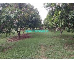 2 Acre Mango Tree Farm Land For Sale in Tiruttani