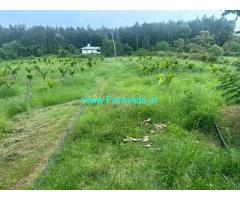 10 acre coffee estate for sale in Belur