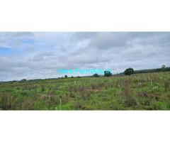 4 acre agri land for sale in between Belur and Chikmagalur