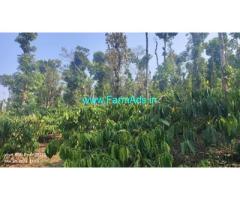 2 acre well maintained Robusta plantation sale in Mudigere