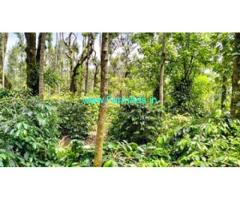 3 acre well maintained coffee estate for sale in Chikmagalur