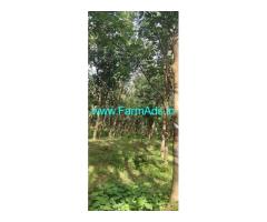 60 acres agriculture land sale near Manipal