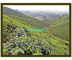 6000 Acres Tea Estate for sale at Valpari