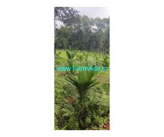 10 acres agriculture land sale near Belthangady