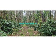 4 acre plantation with farm house for sale in Belur