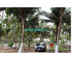 11.18 Acres Coconut farm land sale at Iluppanagaram