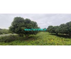 23 Gunta Farm Land for Sale near Mysore
