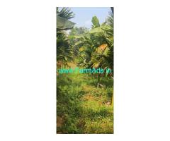 21 acres agriculture land sale near Belthangady