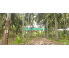 11.0 Acres coconut Farm land for sale near Dindugal Atthur dam