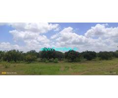 12 acre general property for sale near Srinivaspura, Mulbagal Highway